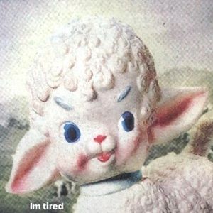 Meet your Posher, Bao